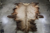ELK Hide or Pelt