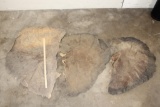 (3) African ELEPHANT Ear Skins (ONE$)