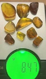 (10) Pieces of Authentic Myanmar AMBER Fossil Insect and Plant Specimens, Weight: 8.47 g (ONE$)