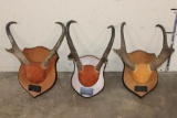 (3) Sets of Mounted PRONGHORNS on Wooden Plaques (ONE$)