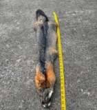 *New* Large GREY FOX Hide with Heavy Fur