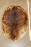 BEAVER Hide or Pelt