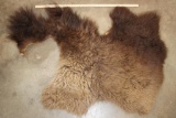 Partial BUFFALO/Bison Back Hide