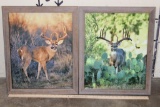 (2) Dave N. Richards Photographs of Big Whitetail Bucks in Matching Frames (ONE$)