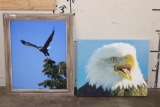 (1) Framed BALD EAGLE Photo by Dave N. Richards and (1) BALD EAGLE Canvas print (ONE$)