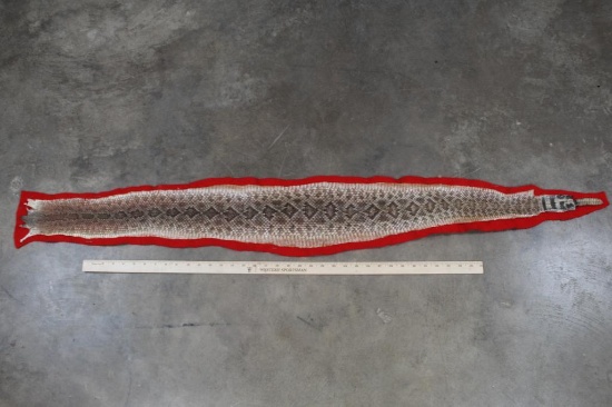 Western Diamondback RATTLESNAKE Skin and Rattle with a Red Felt Backing
