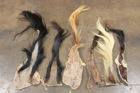 (6) African Animal TAILS (ONE$)