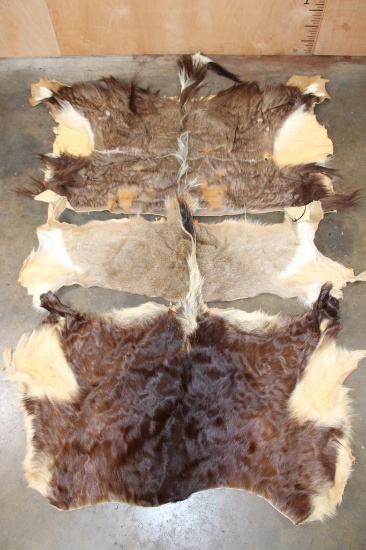 (3) African Animal Back-hides (ONE$)
