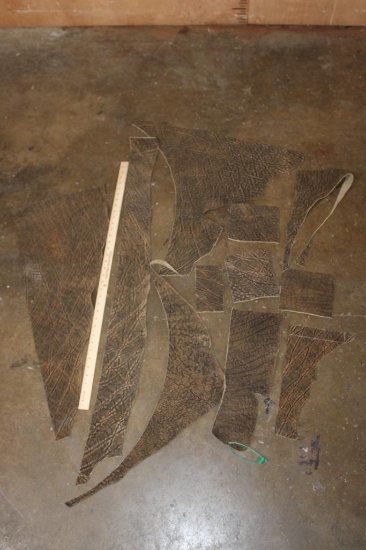 ELEPHANT Hide Sections