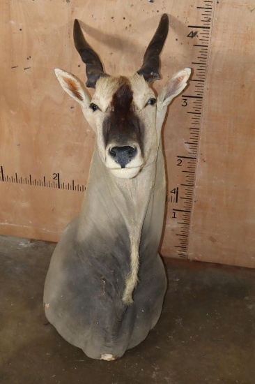 ELAND Pedestal Mount with No Pedestal