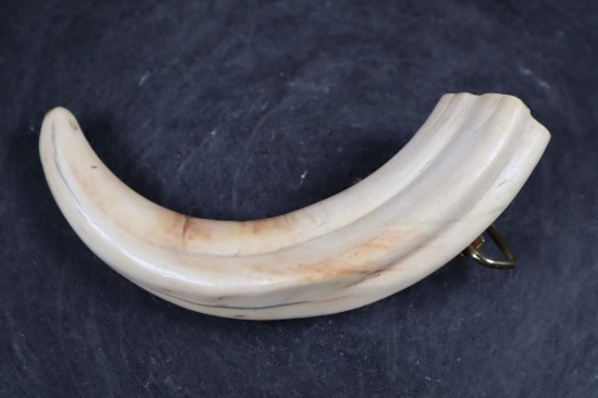 Polished WARTHOG Tusk Belt Buckle