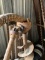 Woods 3pt Post hole auger