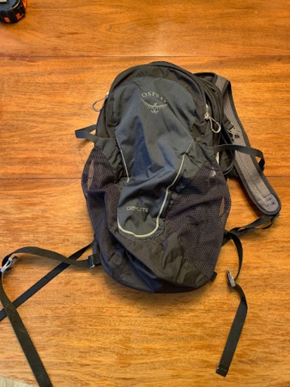 Osprey Small Day Pack