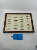 Colorfull Framed Picture of Various Fish Types