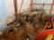JOHN DEERE 3 BOTTOM PLOW
