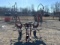 SITREX RT-5200-H TEDDER