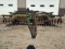 JOHN DEERE T0210 DISK