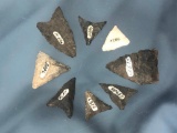 8 Fine Triangles/Pentagonal Points, Isle of Que Site Snyder Co., PA Ex: Straub Longest 1 7/16