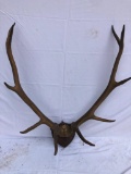 Old PA Elk Rack, 9 Point Taxidermy UNABLE TO SHIP