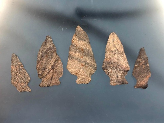 Lot of 5 Broads/Perkiomens Rhyolite Found Cumberland Co., PA Along Conodoguinet Creek, 2 3/4"