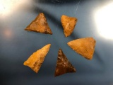 (5) Nice Jasper Triangle Points, Pennsylvania Collection, Cobble Jasper Longest 1 1/2