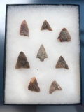 Lot of 8 Cohansey Quartzite Points, Cohansey River, NJ, Longest 1 1/2