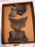 3 Large Iroqouian Rim Shards, Miller Site Field Site, NJ, Largest Measures 8