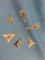 x6 Nice Chert Triangle Points, New England Collection, Massachusetts, Longest 1