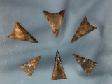 Lot of 6 High Quality Triangle Points, THIN, Longest 1 5/16
