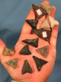 Lot of 13 Various Triangle Points, Quartz, Rhyolite, Felsite, New England Collection, MA and CT, Lon