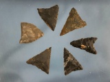 Lot of 6 Triangle Points, Black Chert + Chalcedony, Abbott Farm, NJ Ex: Ralph Ertle