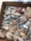 Box Lot of Artifacts, Arrowheads Celts/Tools, Salem County, NJ