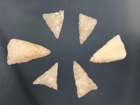 Lot of 6 Quartz Triangle Points, Lancaster Co., PA, Longest 1 1/4"