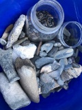 NO SHIPPING- 5 Gallon Bucket, Full Fossils 100's Shark Teeth, Found at Blind Pass Beach, Sanibel Isl