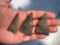 Lot of 3 Chert Triangle Points, Found in New York, Longest Measures 2 1/4