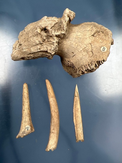 Awls + Knapping Tools, Billet, Found in Milan, Ohio. Longest Piece measures 4 1/2"