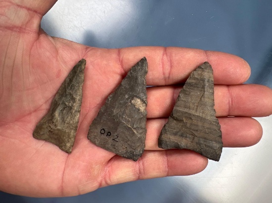 Lot of 3 Chert Triangle Points, Found in New York, Longest Measures 2 1/4" THIN