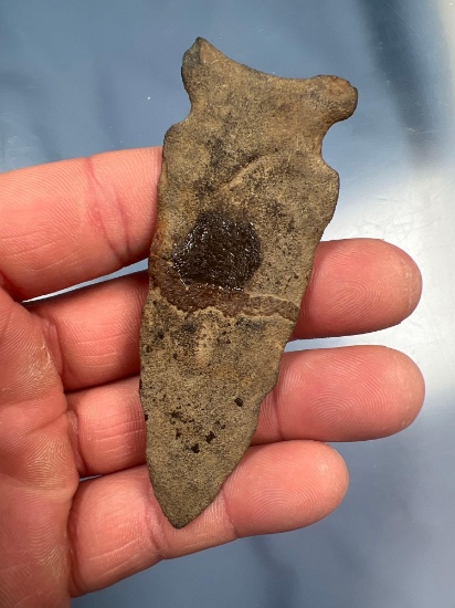 3 7/16" Thin Argillite Otter Creek Point, Found on Long Island, New York, Arrowhead
