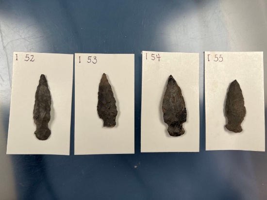 Lot of Taconic Points (stages 1-4), Found in Orange Co., New York, Longest 2 3/8"