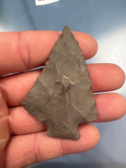 NICE 2 1/2" Esopus Perkiomen Point, Found in Central New York, Well-Made