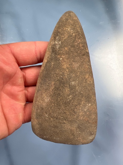4 7/8" Poll Celt, Found in Ontario Co., New York, Nice condition.