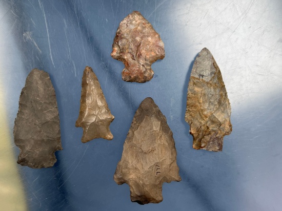 Lot of 5 Points, Arrowheads, x1 Marked Illinois, x1 South Dakota, Sonora Flint, Longest 2 1/2"
