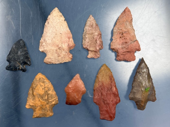 Lot of 8 Colorful Arrowheads, Points, Longest Measures 2 3/8", Central/Midwestern US