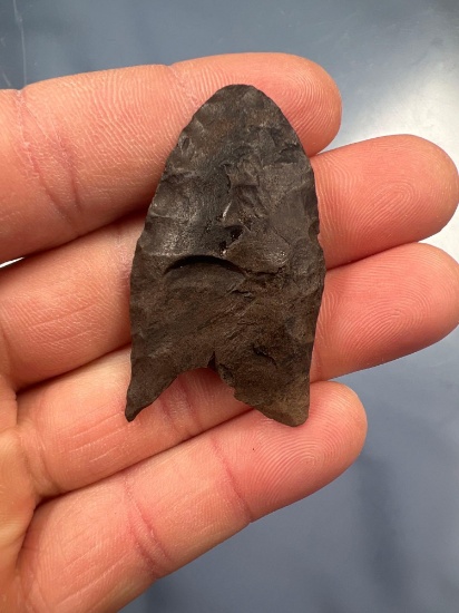 1 7/8" Debert/Clovis Fluted Paleo Point, Onondaga Chert, Found in Delaware Valley, New York