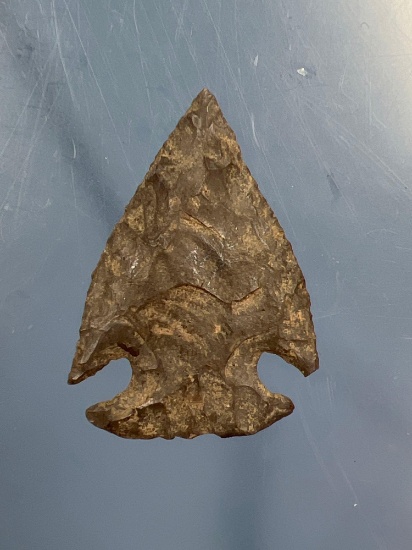 NICE 1 9/16" Jacks Reef Onondaga Point, Arrowhead, Found in New York, PAPER THIN
