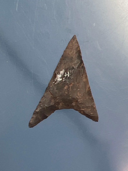 PERFECT 1 9/16" Levanna Triangle Point, Needle Tip, Found in New York, THIN