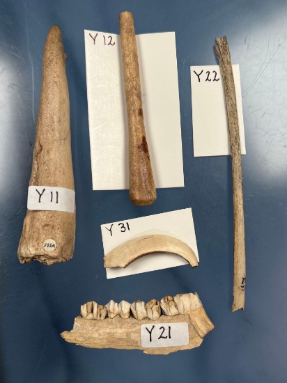 Bone Artifacts, Flaking Tools, Weaving Tool, New York, Several Pictured in Lar Hothem's Antler Bone