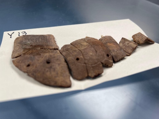 RARE Turtle Shell Rattle Fragments, Drilled, Cayuga Co., New York, Pictured in Lar Hothem's Antler B
