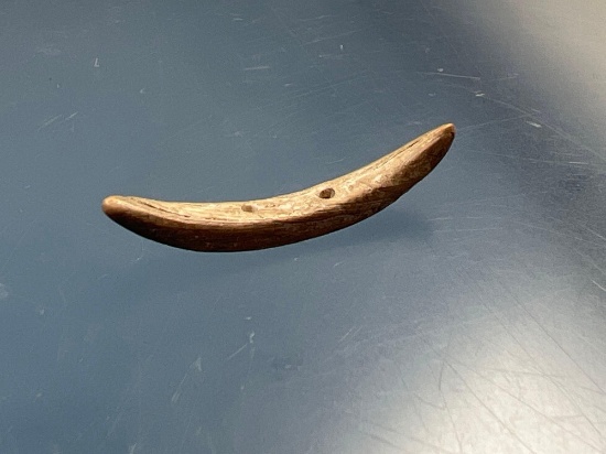 RARE Shell Crescent Spacer, Drilled Twice, Found on the Dann Site, Near Lima New York
