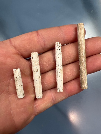 Lot of 4 RARE Tubular Shell Beads, Found in New York, Longest 2 3/8", Woodland to Contact Period